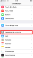 iOS Einstellungen